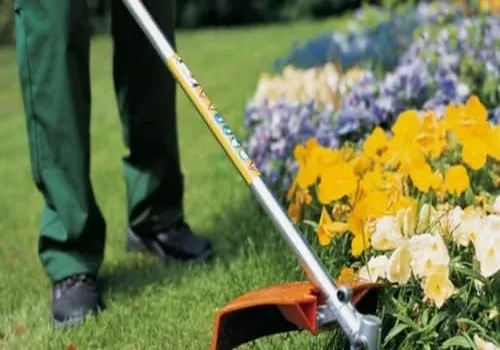 Jardinagem e Paisagismo Arinos